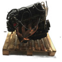 MOTOR COMPLETO FORD FIESTA PERSONNALITÉ 1.0 8V 2005