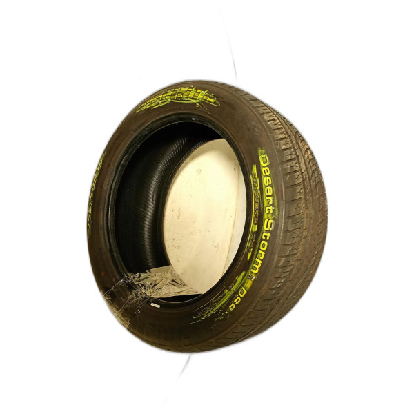 PNEU 255/50 R19 107Y XL DELINTE DESERT STORM 2 DS8 2013